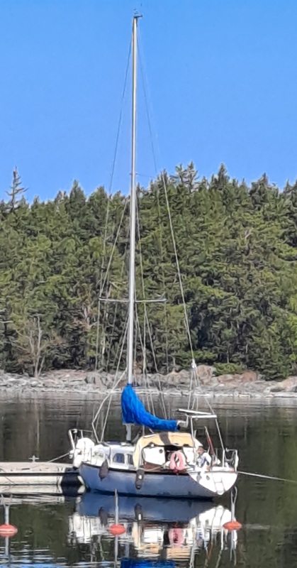 Princess 32