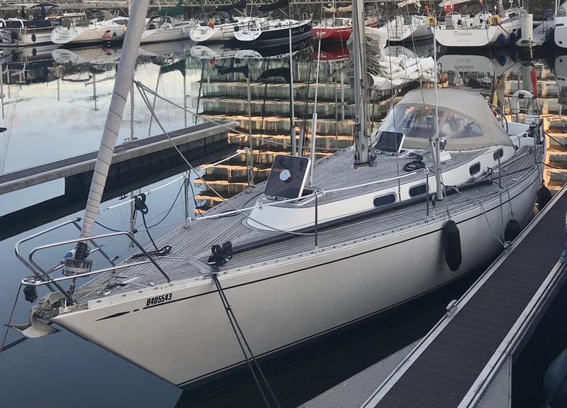 Condor 37