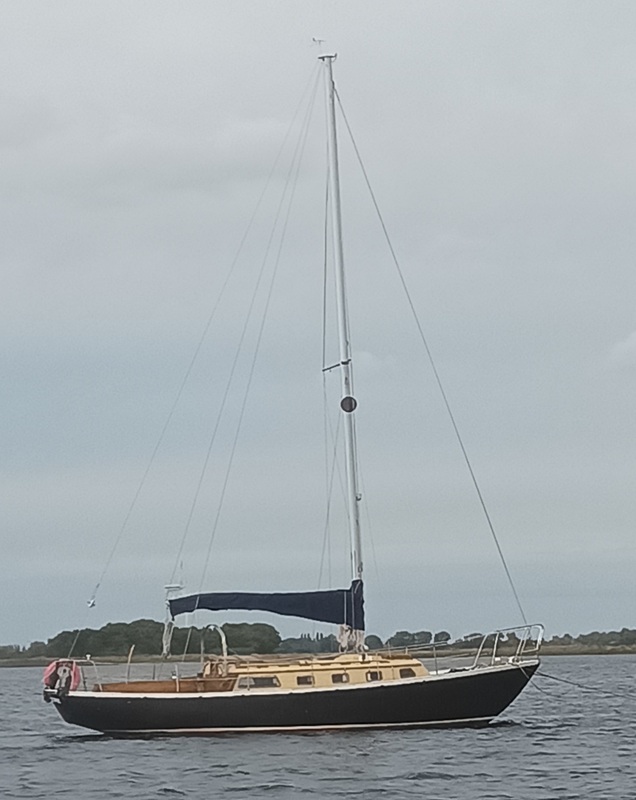 Rig