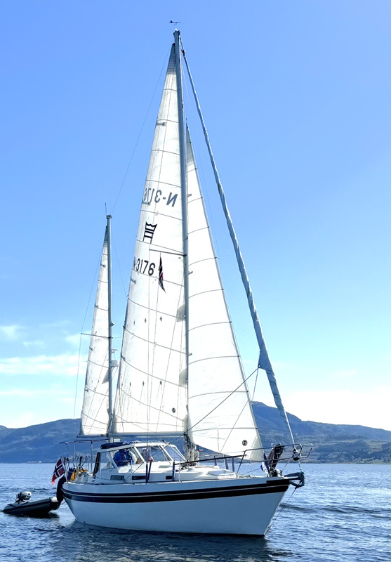 Rig