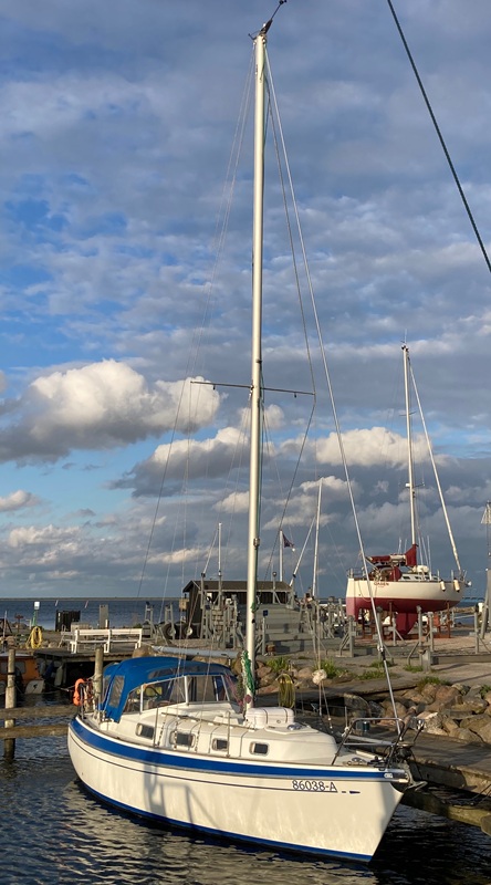 Malö 40