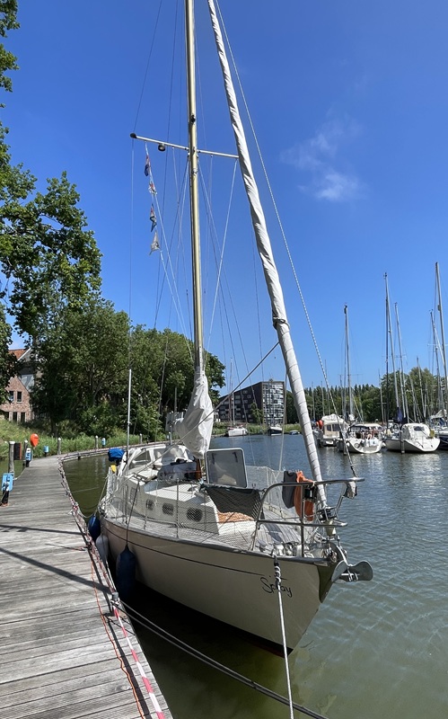 Trintella II Trintella II